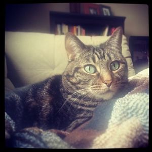 Meet your Posher, Shea